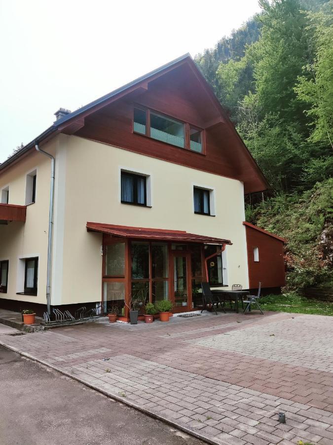 Seeblick Krippenstein Obertraun Esterno foto