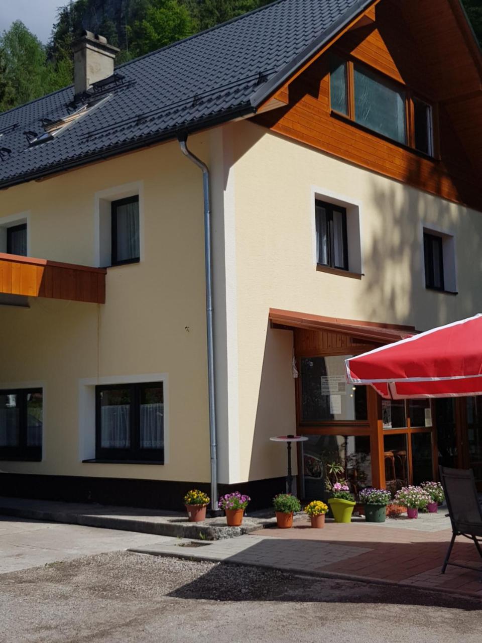 Seeblick Krippenstein Obertraun Esterno foto